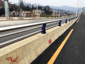 Stainless Steel Bridge Isolation Fence | Anti-Climbing for Pedestrians | Corrosion-Resistant | Highway/Railway Bridge Use