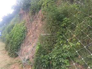 Active Slope Protection Net Anti-Corrosion Mesh Net for Highway Railway Slope Covering & Erosion Control