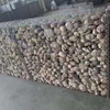 Easy-Assemble Gabion Boxes PVC Coated Wire Mesh Cages for Coastal Area & Wetland Protection