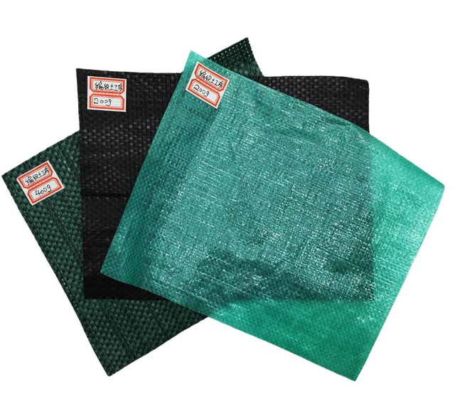 Polyester Geogrid, Durable Reinforcement Grid for Highway Pavement & Slope Protection