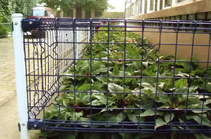 Easy-Install Double Loop Mesh Fence Anti-Climb Anti-Break Fence for Construction Site & Scenic Spot Enclosure