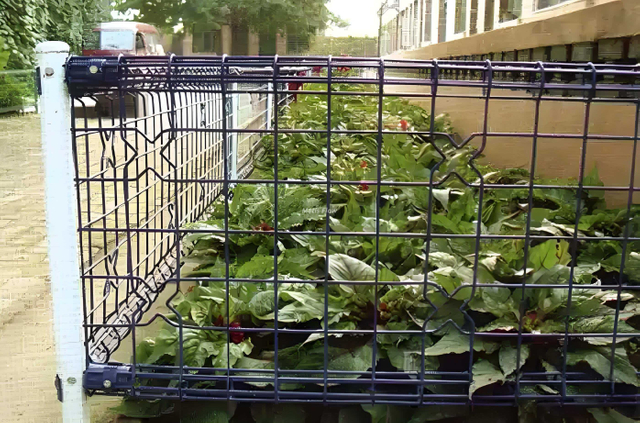 Easy-Install Double Loop Mesh Fence Anti-Climb Anti-Break Fence for Construction Site & Scenic Spot Enclosure